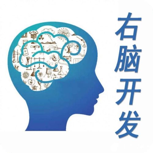 “開(kāi)發(fā)右腦”真相大揭秘 別讓“神童夢(mèng)”蒙蔽雙眼